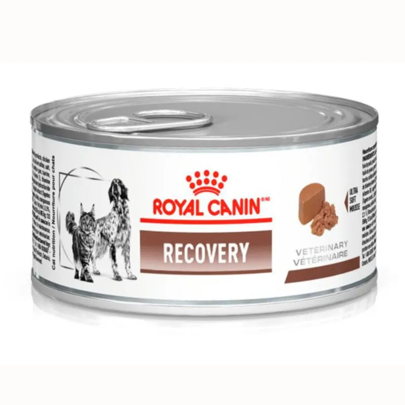 Ração Úmida Lata Royal Canin Dieta Veterinária Recovery para Cães e Gatos Adultos 195G